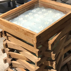 たくさんの木製の枠に入れられた香りの原料
